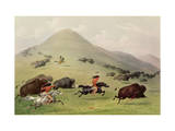 The Buffalo Hunt  C1832 (Coloured Engraving)