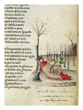 Fol 52R from 'Canzoniere E Trionfi' by Petrarch  C1470