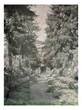 Path in Monet's Garden at Giverny  Early 1920S (Photo)