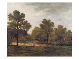 Landscape (Oil on Canvas)