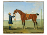 The Duke of Devonshire's Flying Childers  1742 (Oil on Canvas)