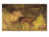 Stag Running Through a Wood  C1865 (Oil on Canvas)