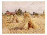 Corn Stooks by Bray Church  1872 (Oil on Paper Laid on Board)