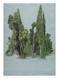 The Cypresses at the Villa D'Este  Tivoli (W/C and Gouache with Graphite on Paper)