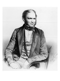 Charles Darwin  1849 (Litho)