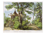Chinese Temple  Kew Gardens  Plate 13 from 'Kew Gardens: a Series of Twenty-Four Drawings on Stone'
