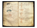 Ms 422 Fol26V and 27R Path of the Moon across the Constellations  from 'De Natura Rerum'