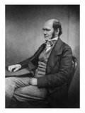 Charles Darwin (Engraving)
