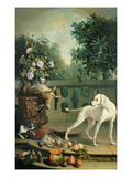 Animals  Flowers and Fruits (Oil on Canvas)