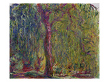 Weeping Willow  1918-19 (Oil on Canvas)