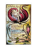 Infant Joy'  Plate 23 from 'Songs of Innocence and of Experience [Bentley 25] C1789-94