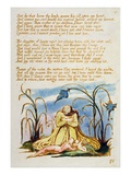 But He That Loves the Lowly'  Plate 7 from 'The Book of Thel'  1789