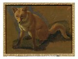 Study of a Fox (Oil on Panel)
