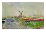 Tulip Field in Holland (Oil on Canvas)