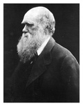 Charles Darwin  C1870 (B/W Photo)