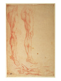 Studies of Legs and Arms (Red Chalk on Paper)