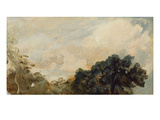 Cloud Study with Trees  1821 (Oil on Paper Laid Down on Board)