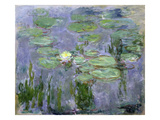 Waterlilies  1915 (Oil on Canvas)