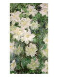 White Clematis  1887 (Oil on Canvas)