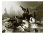 Whalers Attacked by Bears
