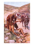 The Good Samaritan