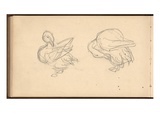 Two Ducks Preening their Feathers (Pencil on Paper)