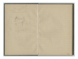 Swan  from a Sketchbook  1886 (Pencil on Paper)