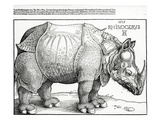 The Rhinoceros  1515 (Woodcut)