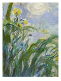 The Yellow Iris (Detail of 154652) (Oil on Canvas)