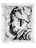 Old Man with a Snub Nose  C1629 (Etching)