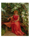 Fair Rosamund in Her Bower (Oil on Canvas)