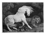 A Horse Affrighted by a Lion  Engraved by the Artist  1788 (Etching)