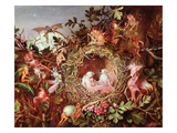 Fairies in a Bird's Nest (Without the Frame - See also 84823)
