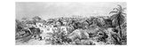 Freetown  Sierra Leone (Engraving)