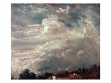 Cloud Study  Horizon of Trees