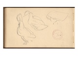 Study of Ducks (Pencil on Paper)