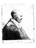 Portrait of a Bald-Headed Man  1630 (Etching)