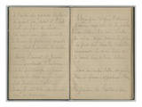 Handwritten Pages  from a Sketchbook  11th January 1886 (Pencil and Pen and Ink on Paper)