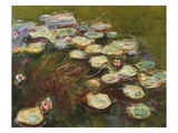 Waterlilies  1914-17 (Detail of 82359) (Oil on Canvas)