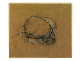 Study for 'The Sea Maiden' (Charcoal Heightened with Chalk)