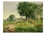 Peasant in the Fields (Oil on Canvas)