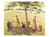 Apple Picking at Eragny-Sur-Epte  1888