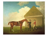 Eclipse at Newmarket  with a Groom and a Jockey  1770 (Oil on Canvas)