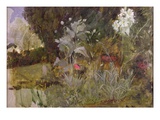 Study of Flowers and Foliage  for 'The Enchanted Garden' (Oil on Canvas) (See 190595)