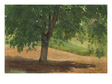 Study of Light and Shade (Oil on Card Laid Down on Canvas)