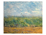 Wheatfield with Lark  1887 (Oil on Canvas)