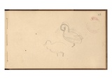 Study of Ducks (Pencil on Paper)