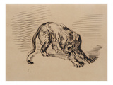 Tiger Frightened by a Snake  1858 (Pen and Ink on Tracing Paper)