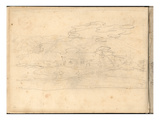Nympheas (Pencil on Paper)