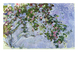 The Roses  1925-26 (Oil on Canvas)